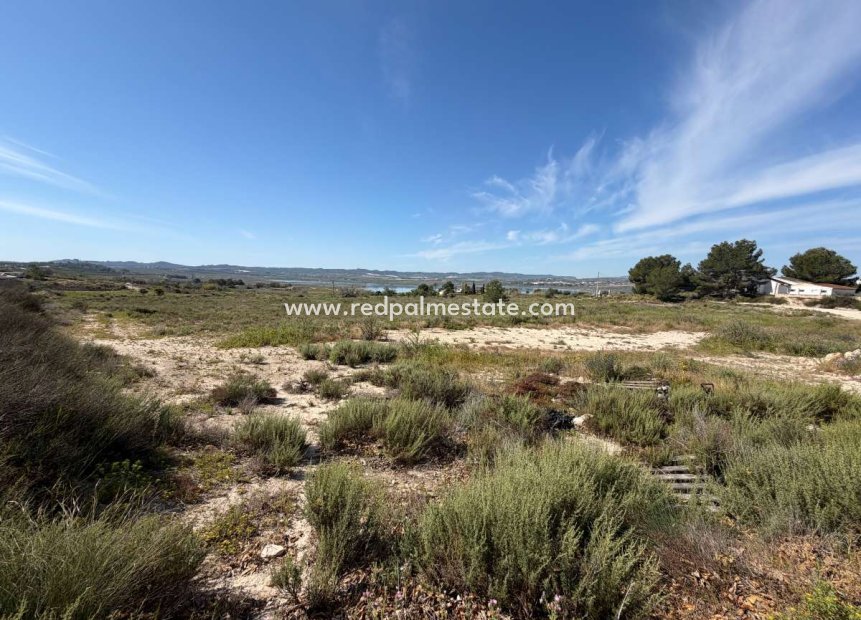 Reventa - Trama -
Torremendo