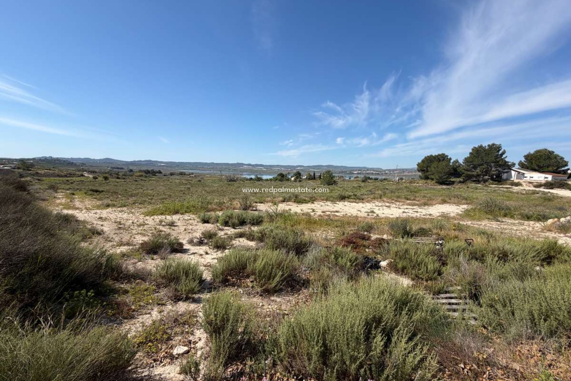 Reventa - Trama -
Torremendo