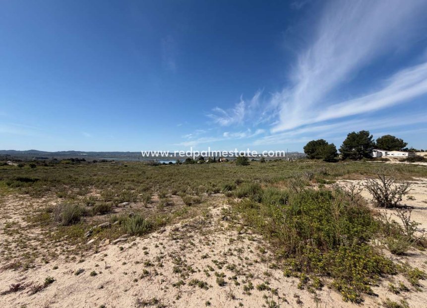 Reventa - Trama -
Torremendo