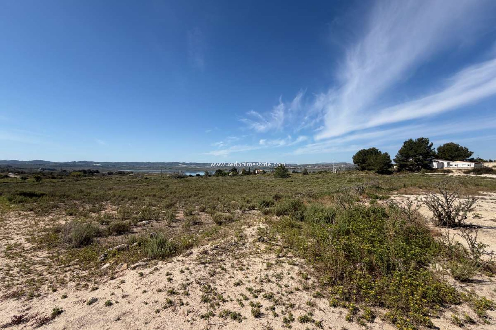 Reventa - Trama -
Torremendo