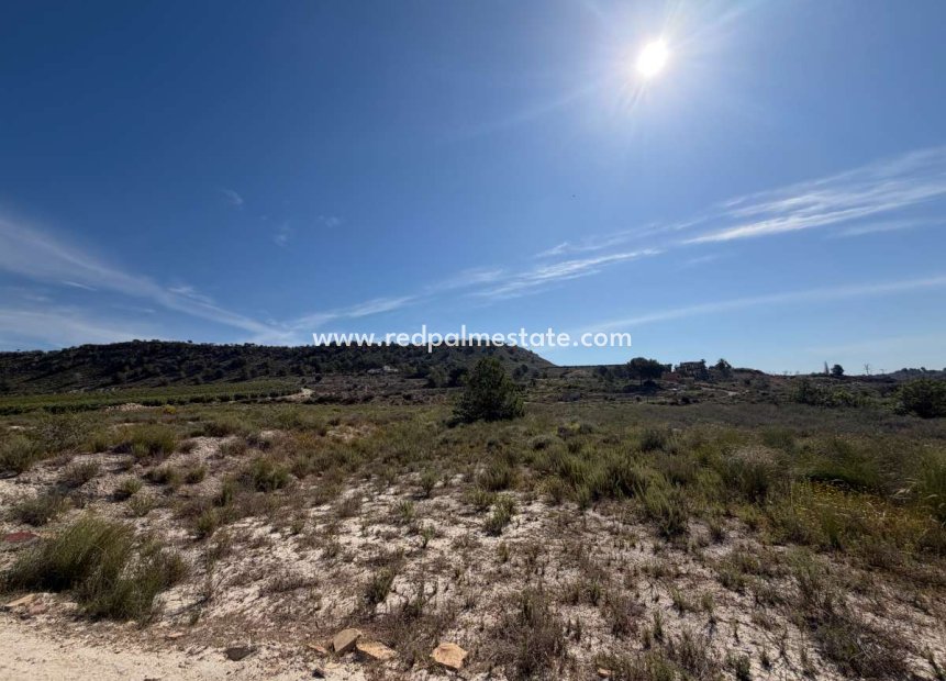 Reventa - Trama -
Torremendo