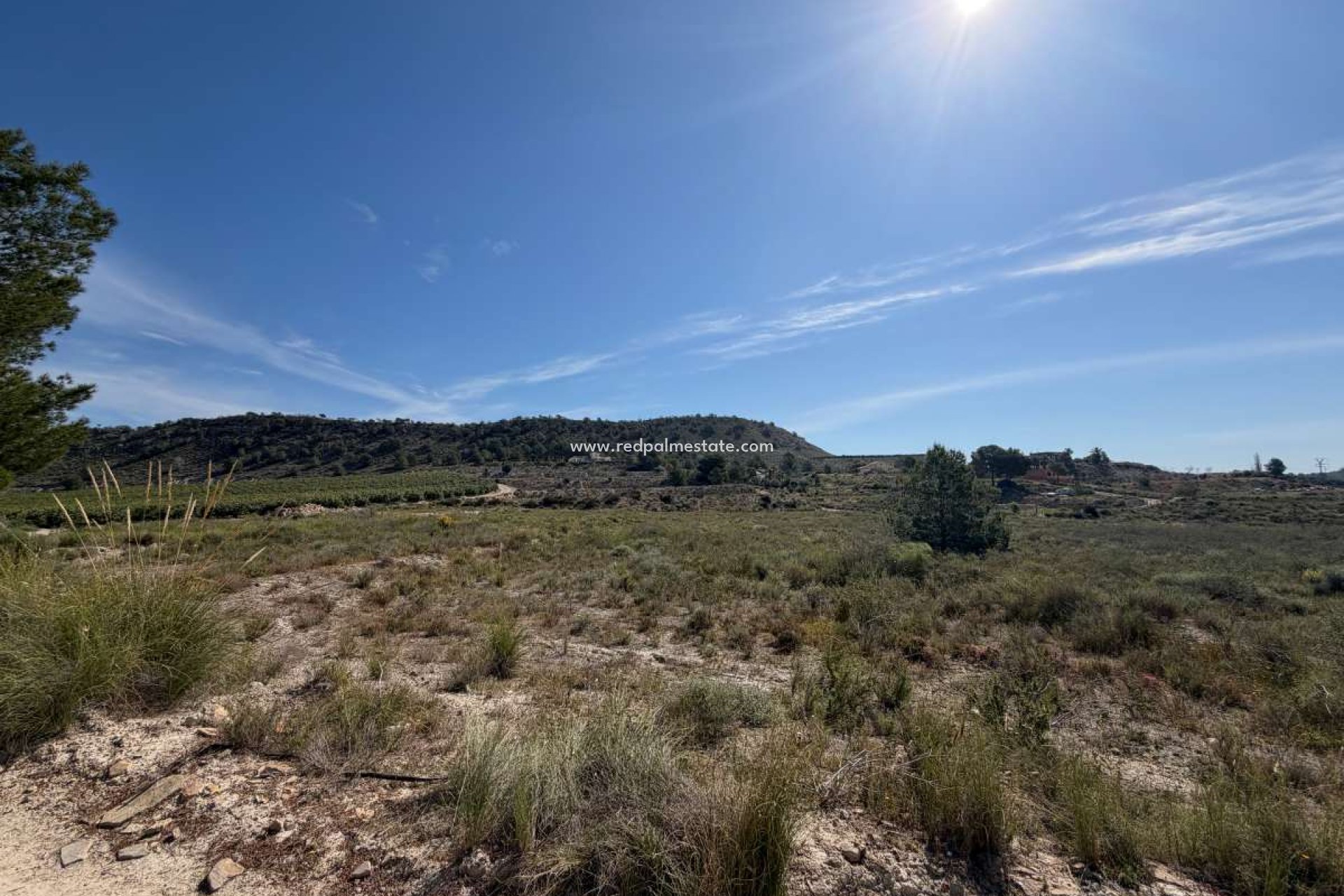 Reventa - Trama -
Torremendo