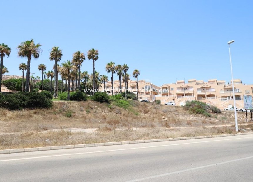 Reventa - Trama -
Torrevieja - Cabo cervera