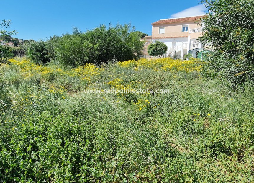 Reventa - Trama -
Torrevieja - Los balcones