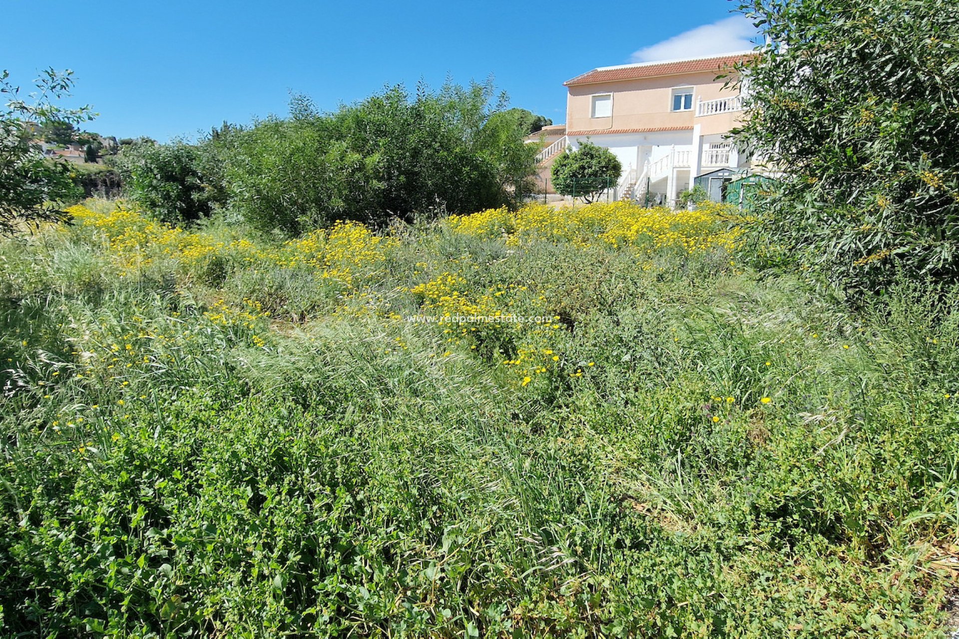 Reventa - Trama -
Torrevieja - Los balcones