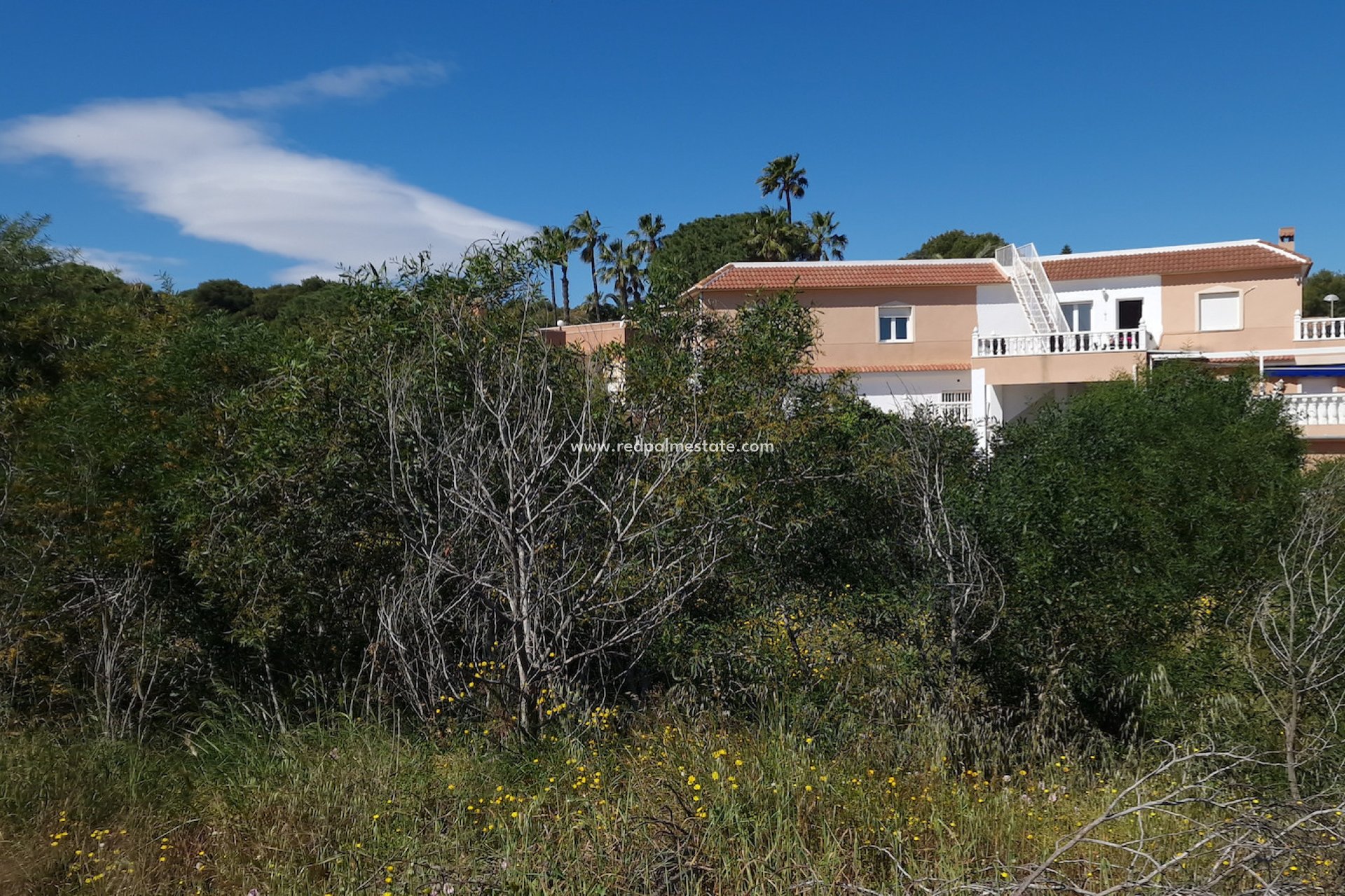 Reventa - Trama -
Torrevieja - Los balcones