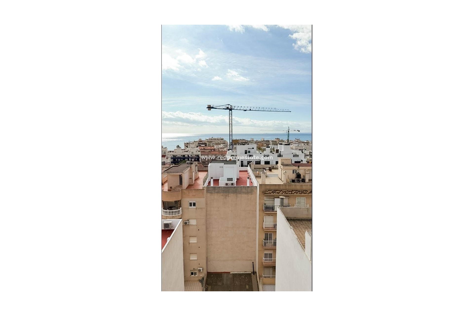 Reventa - Trama -
Torrevieja - Playa del Cura