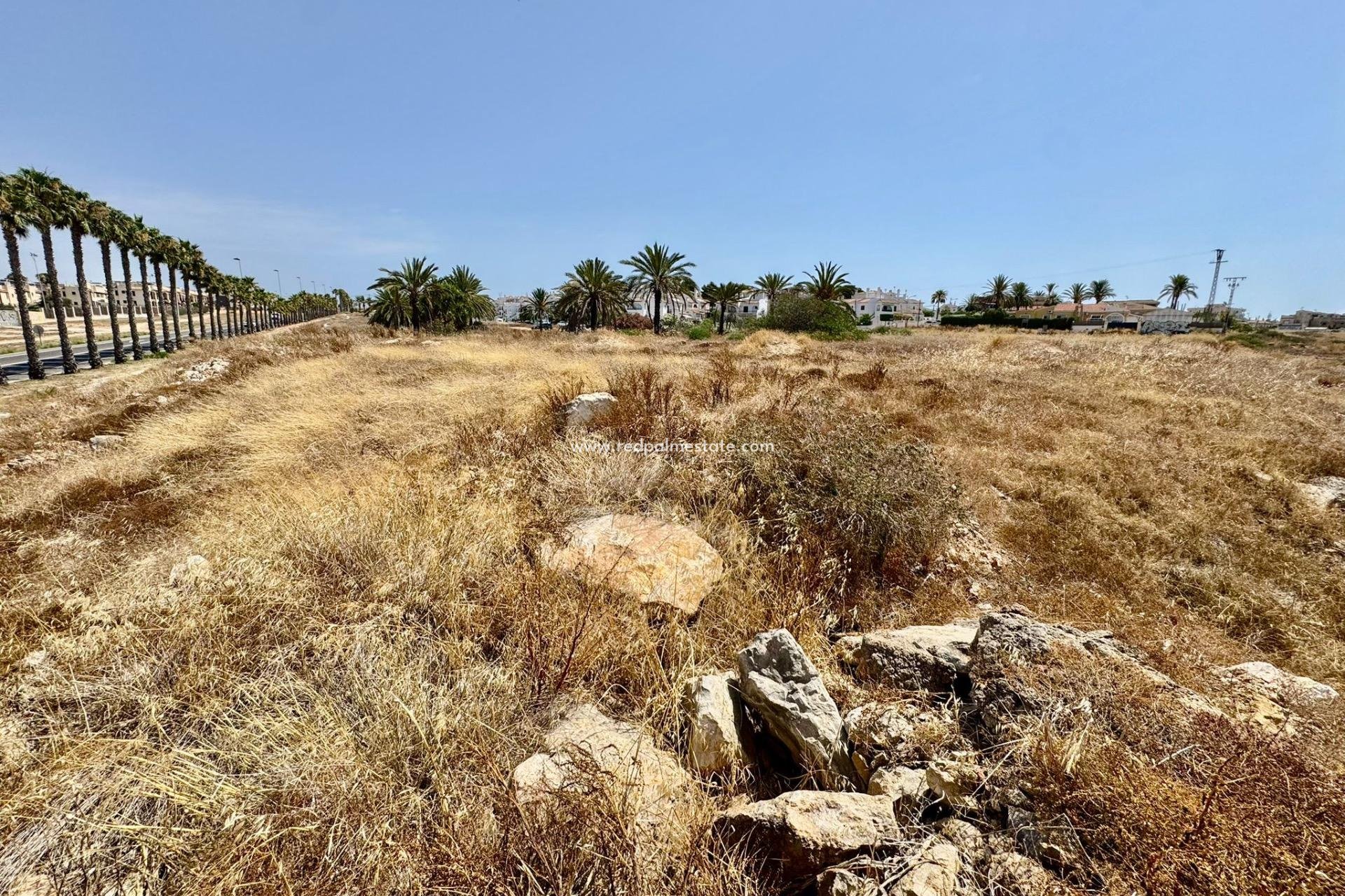 Reventa - Trama -
Torrevieja - Torreblanca