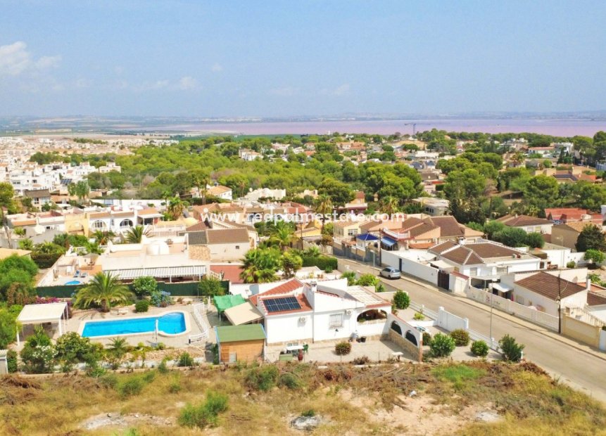 Reventa - Trama -
Torrevieja