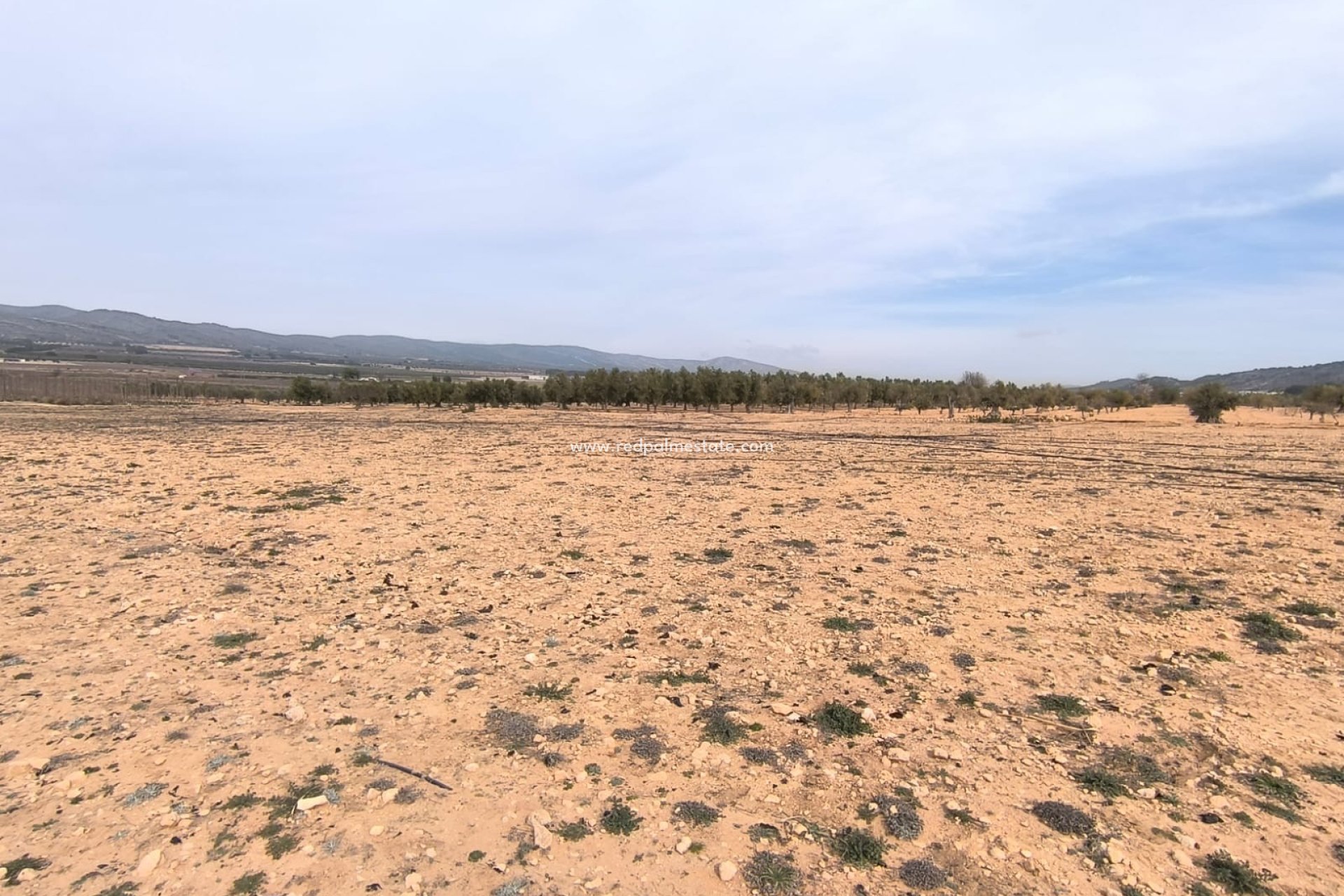 Reventa - Trama -
Villena - Inland
