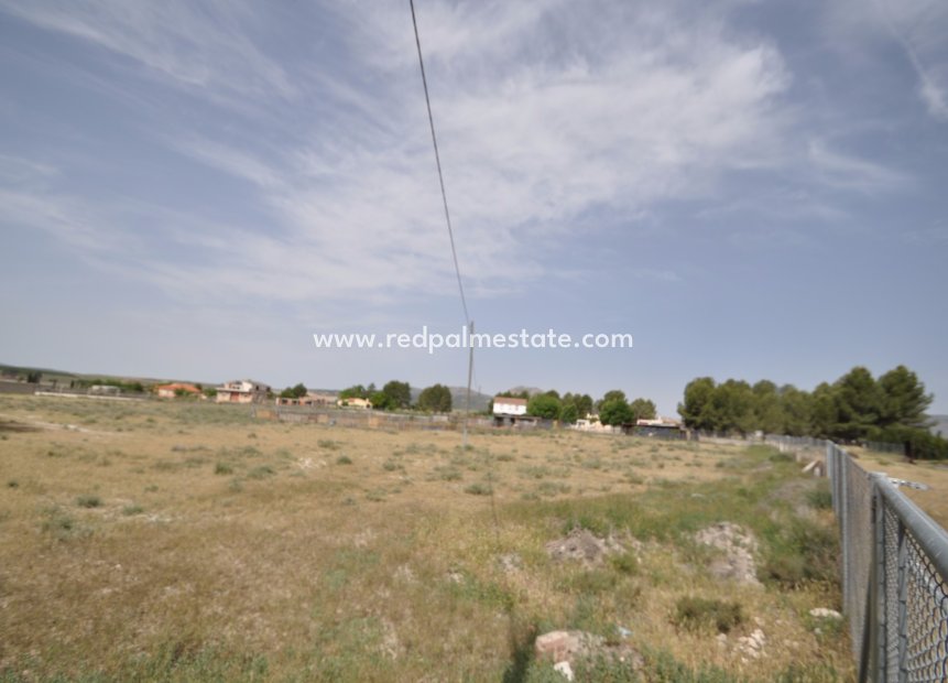 Reventa - Trama -
Villena - Inland