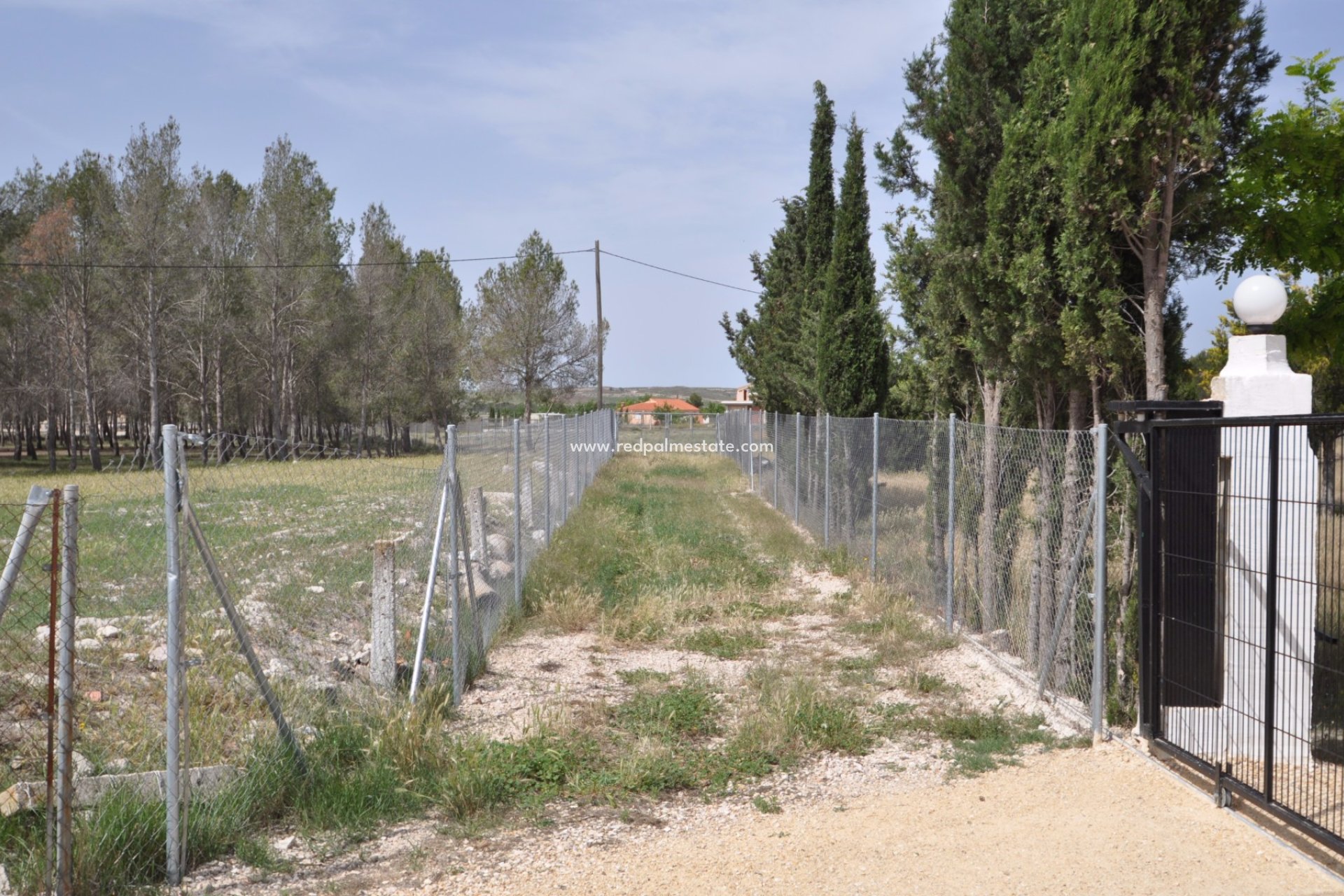 Reventa - Trama -
Villena - Inland