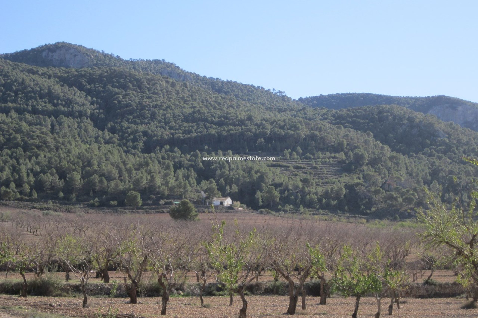 Reventa - Trama -
Villena - Inland