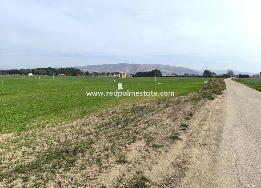 Reventa - Trama -
Villena - Inland