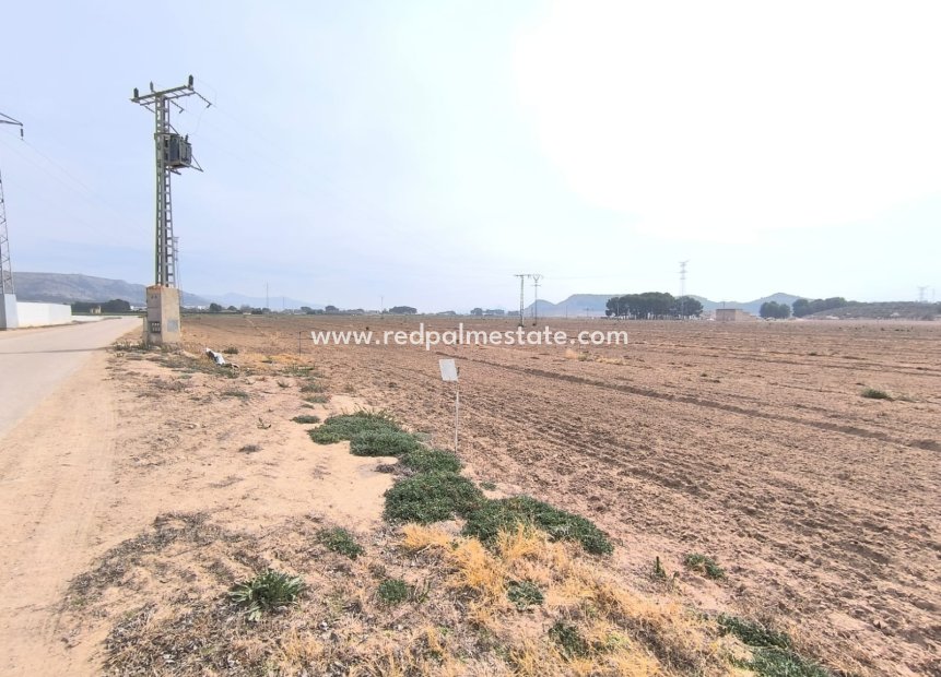 Reventa - Trama -
Villena - Inland