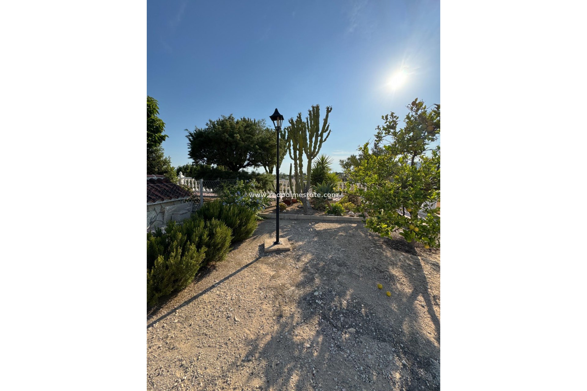 Reventa - Villa -
Albatera - Partida Lomas