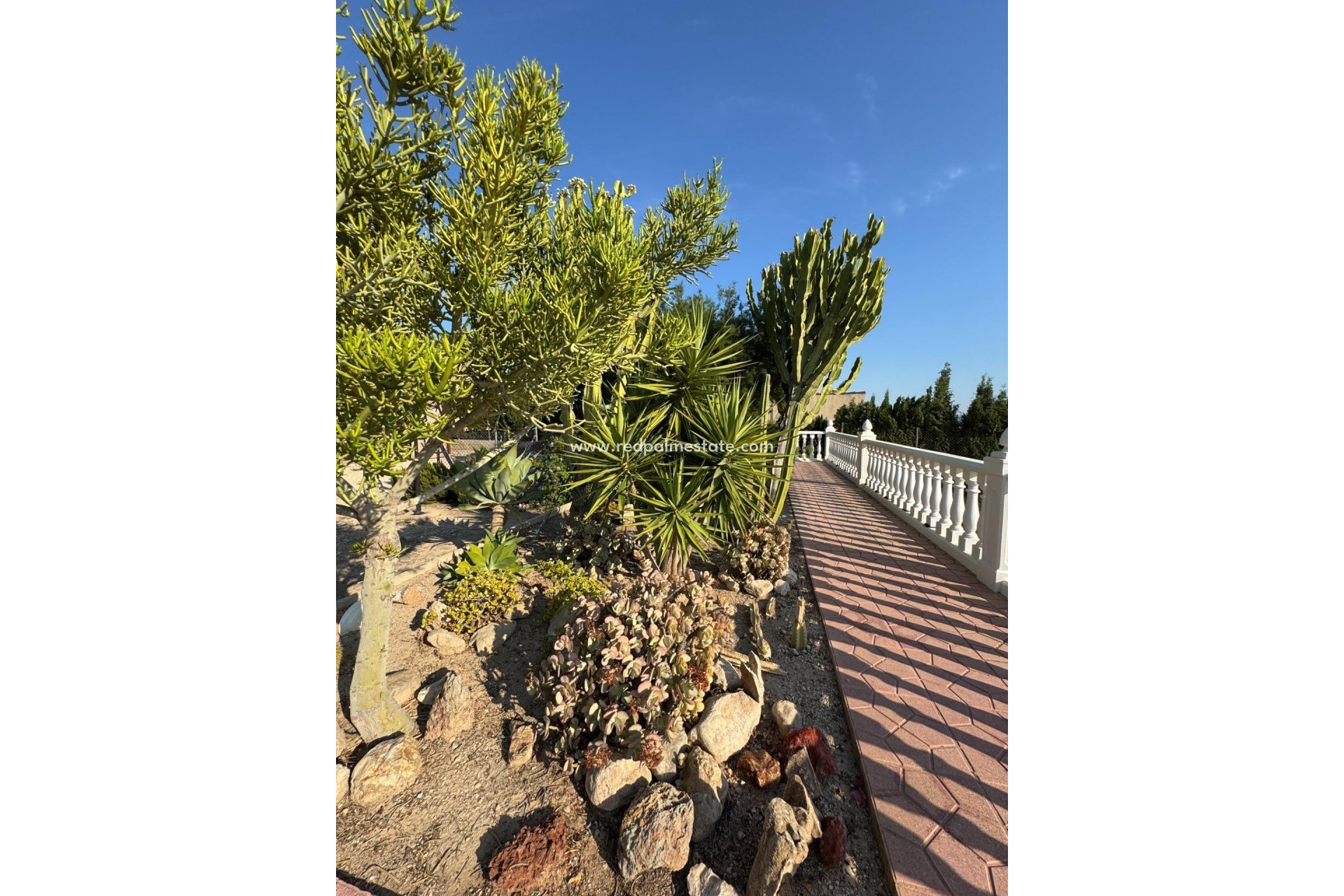 Reventa - Villa -
Albatera - Partida Lomas