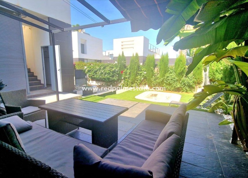 Reventa - Villa -
Algorfa - Pueblo 3