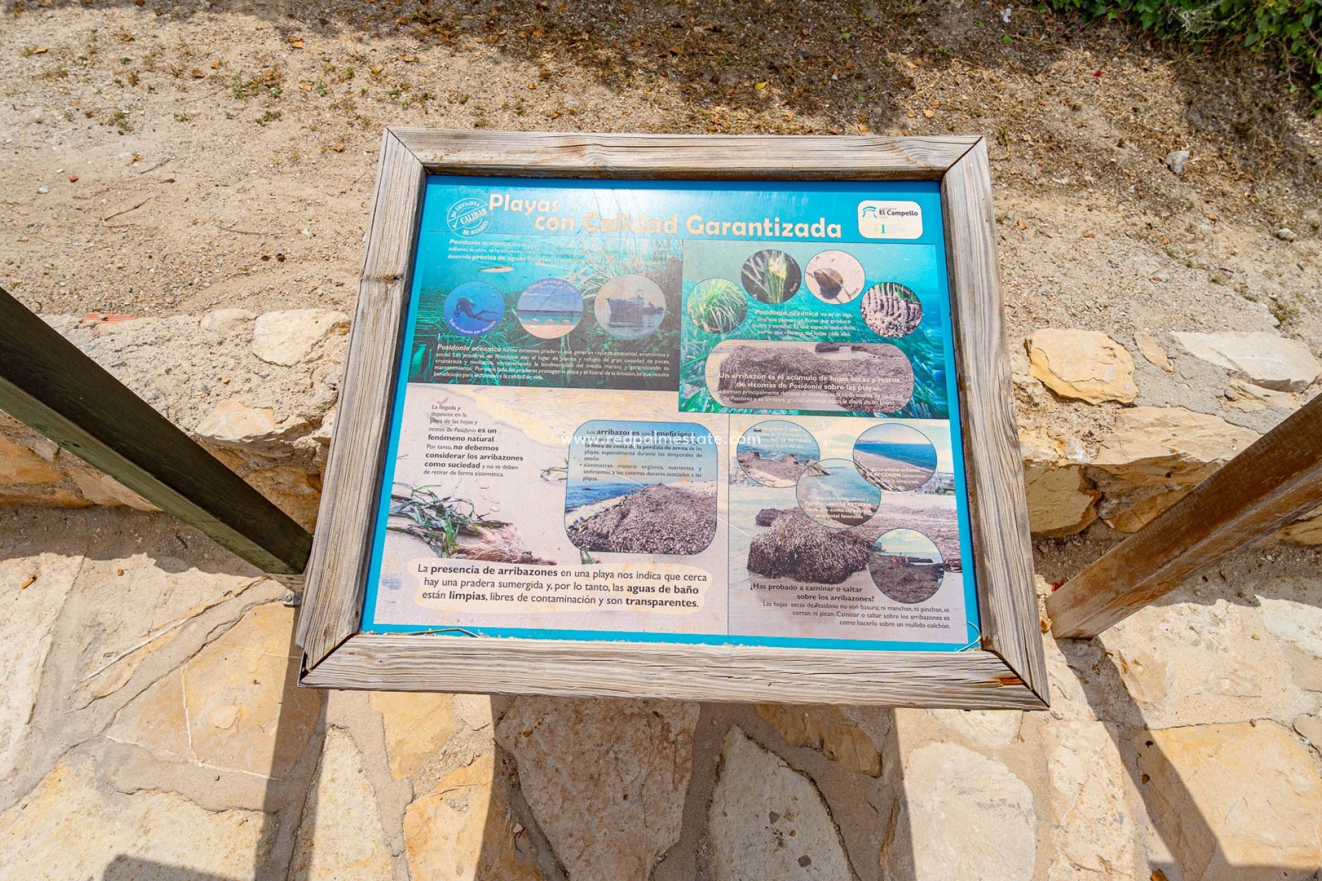 Reventa - Villa -
Alicante - El Campello