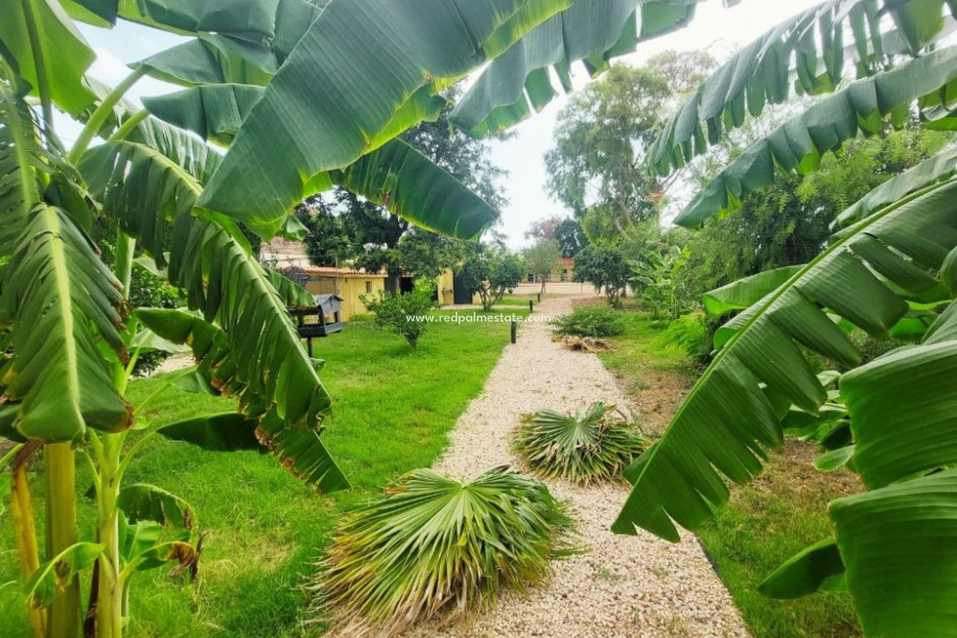 Reventa - Villa -
Altea