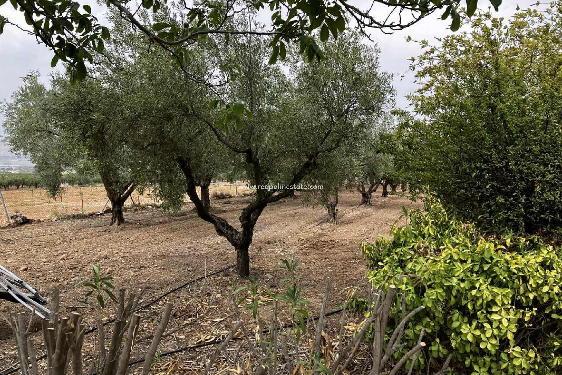 Reventa - Villa -
Biar - Costa Blanca