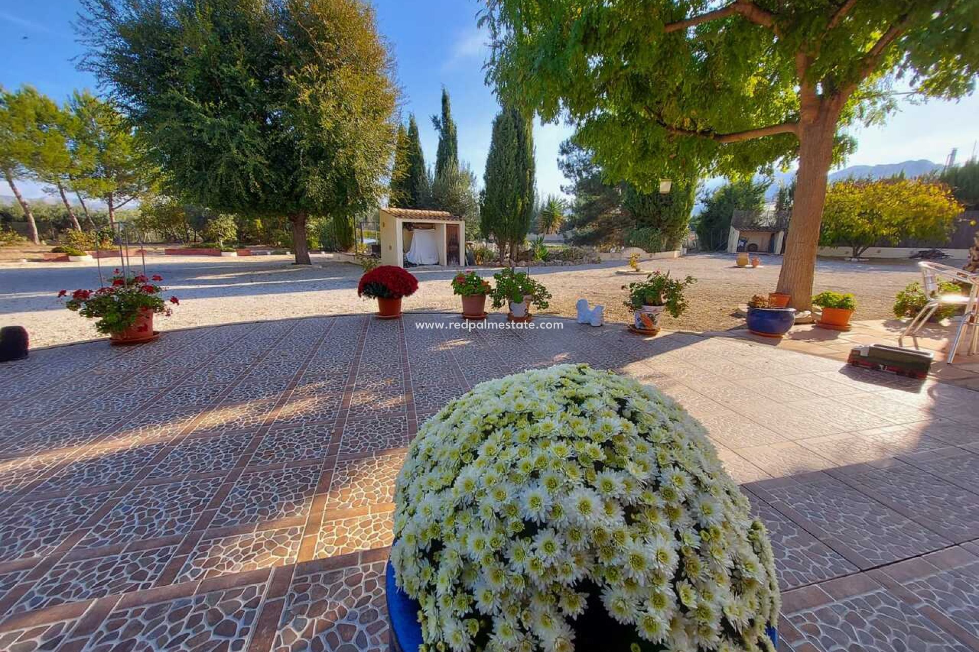 Reventa - Villa -
Calasparra - Inland