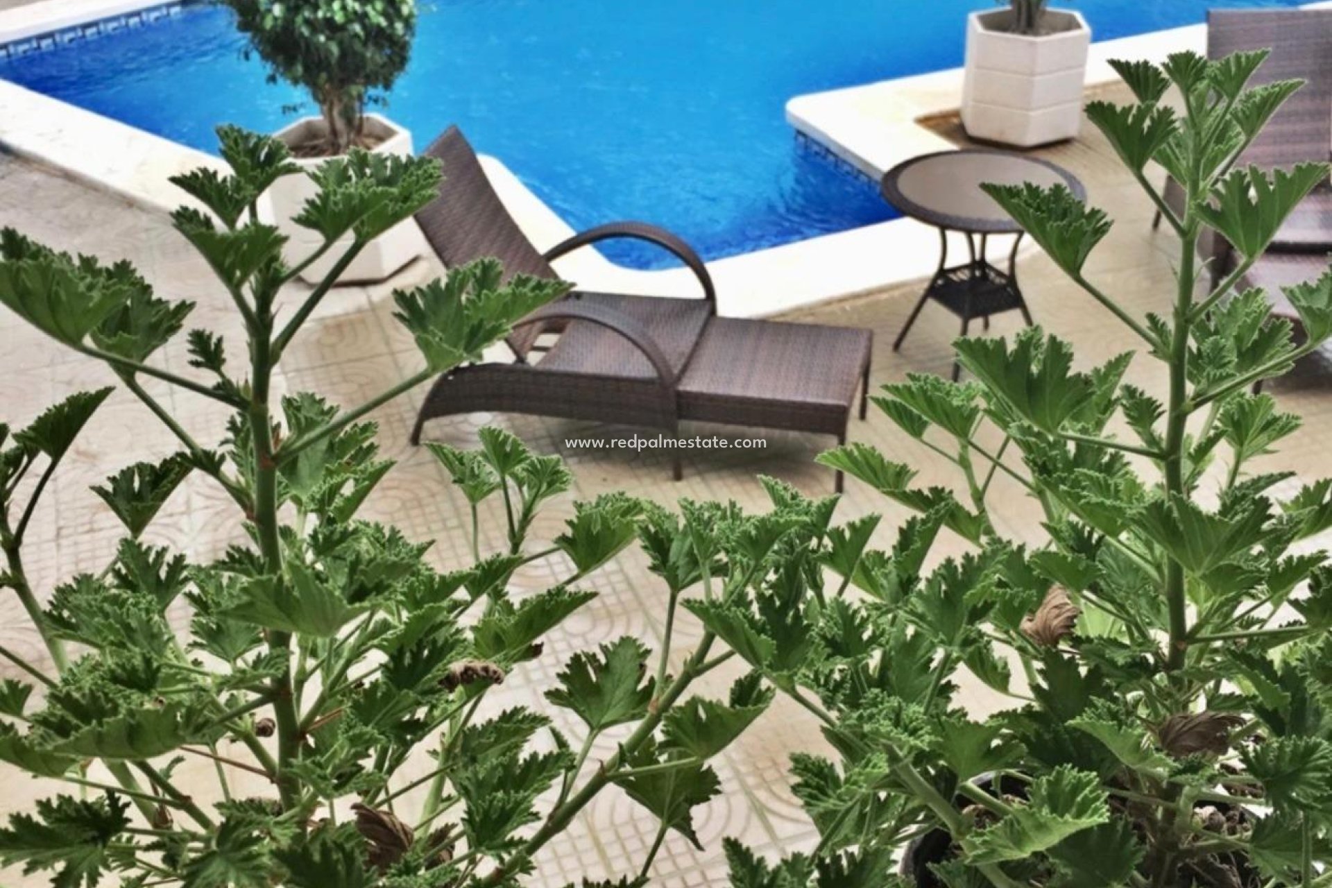 Reventa - Villa -
Ciudad Quesada - Ciudad Quesada - Doña Pepa