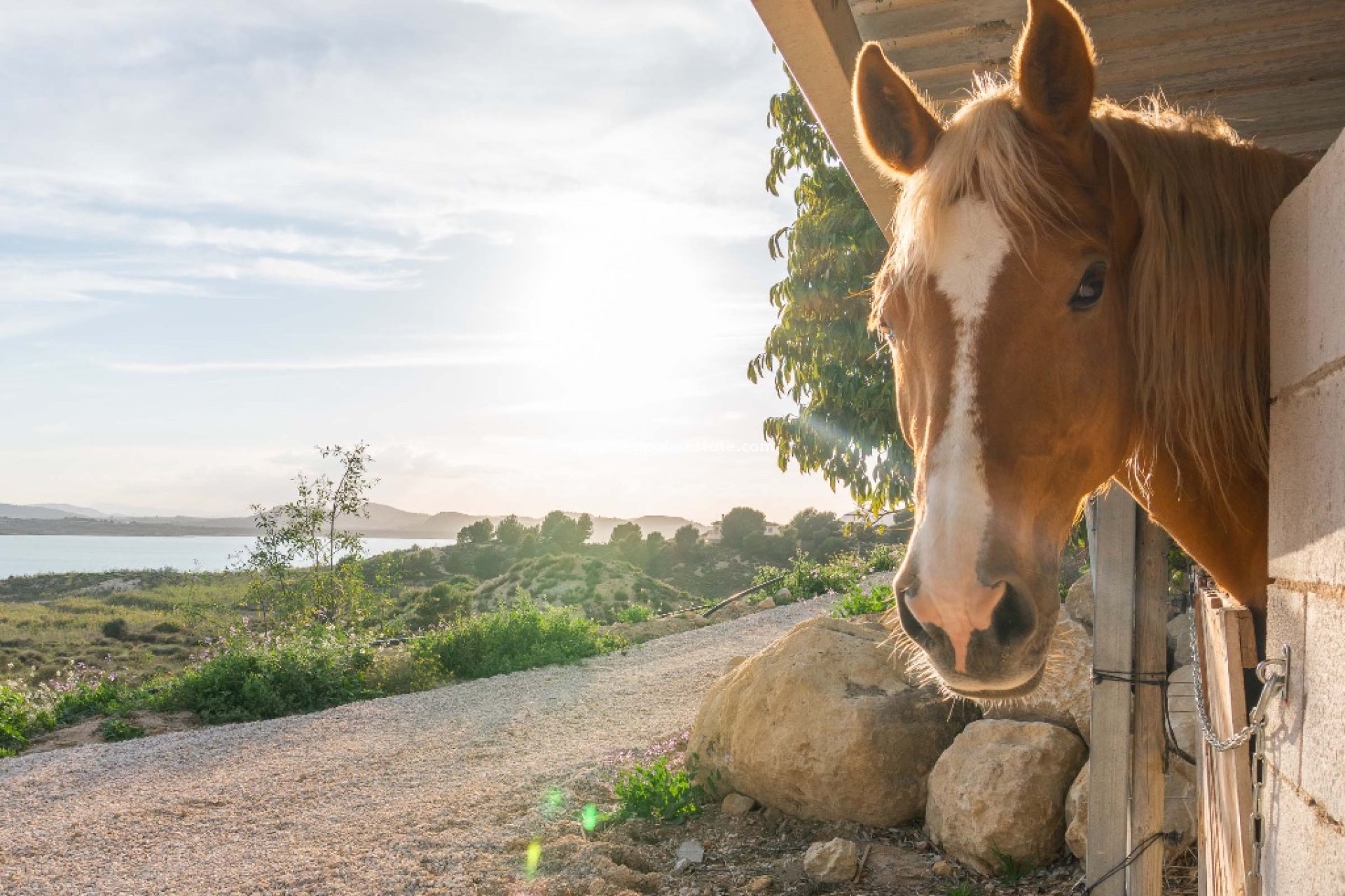 Reventa - Villa -
Costa Blanca - Orihuela Costa