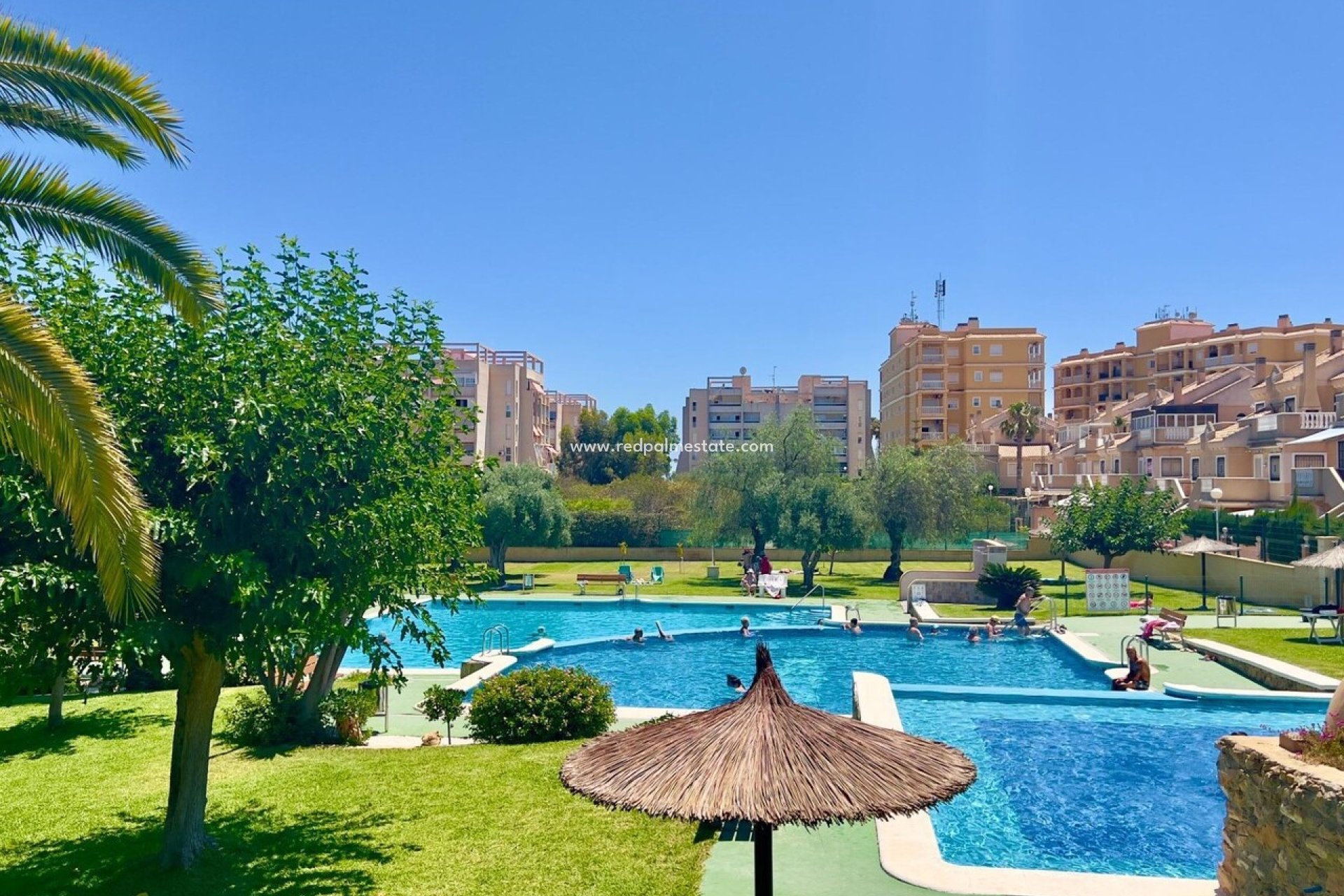 Reventa - Villa cuádruple -
Torrevieja - Costa Blanca