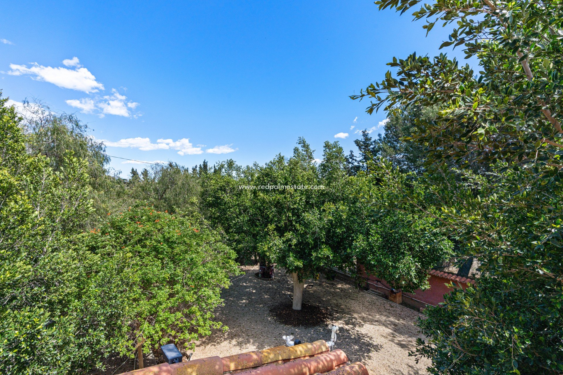 Reventa - Villa -
El Altet - San Francisco de Asis