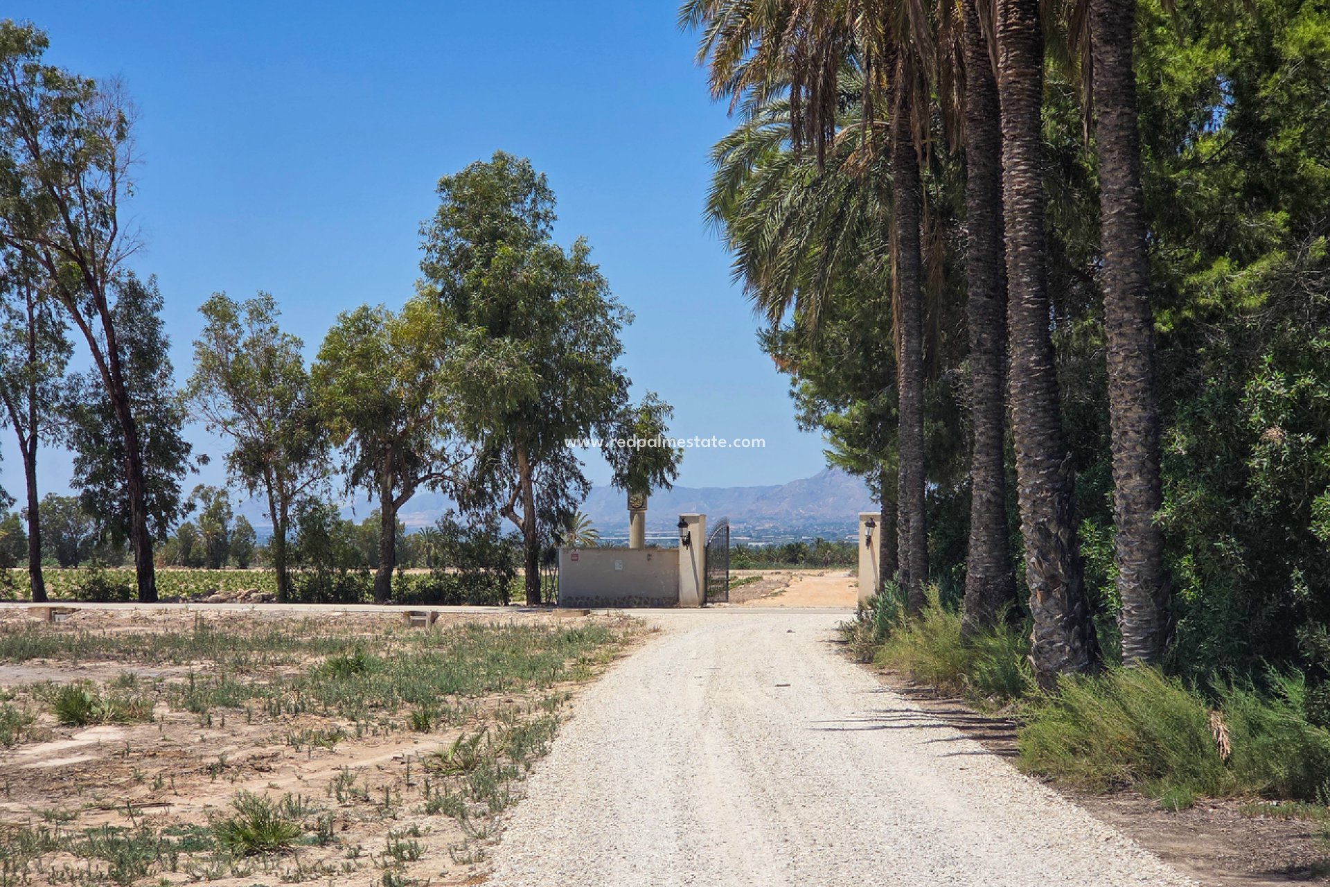 Reventa - Villa -
Elche - Costa Blanca