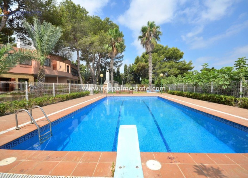 Reventa - Villa independiente -
Torrevieja - Los Balcones