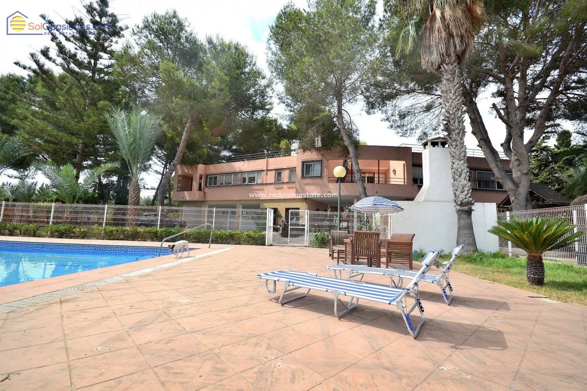 Reventa - Villa independiente -
Torrevieja - Los Balcones