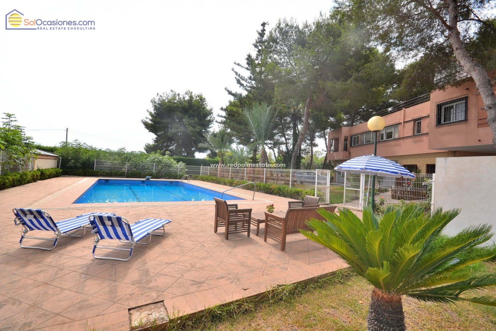 Reventa - Villa independiente -
Torrevieja - Los Balcones