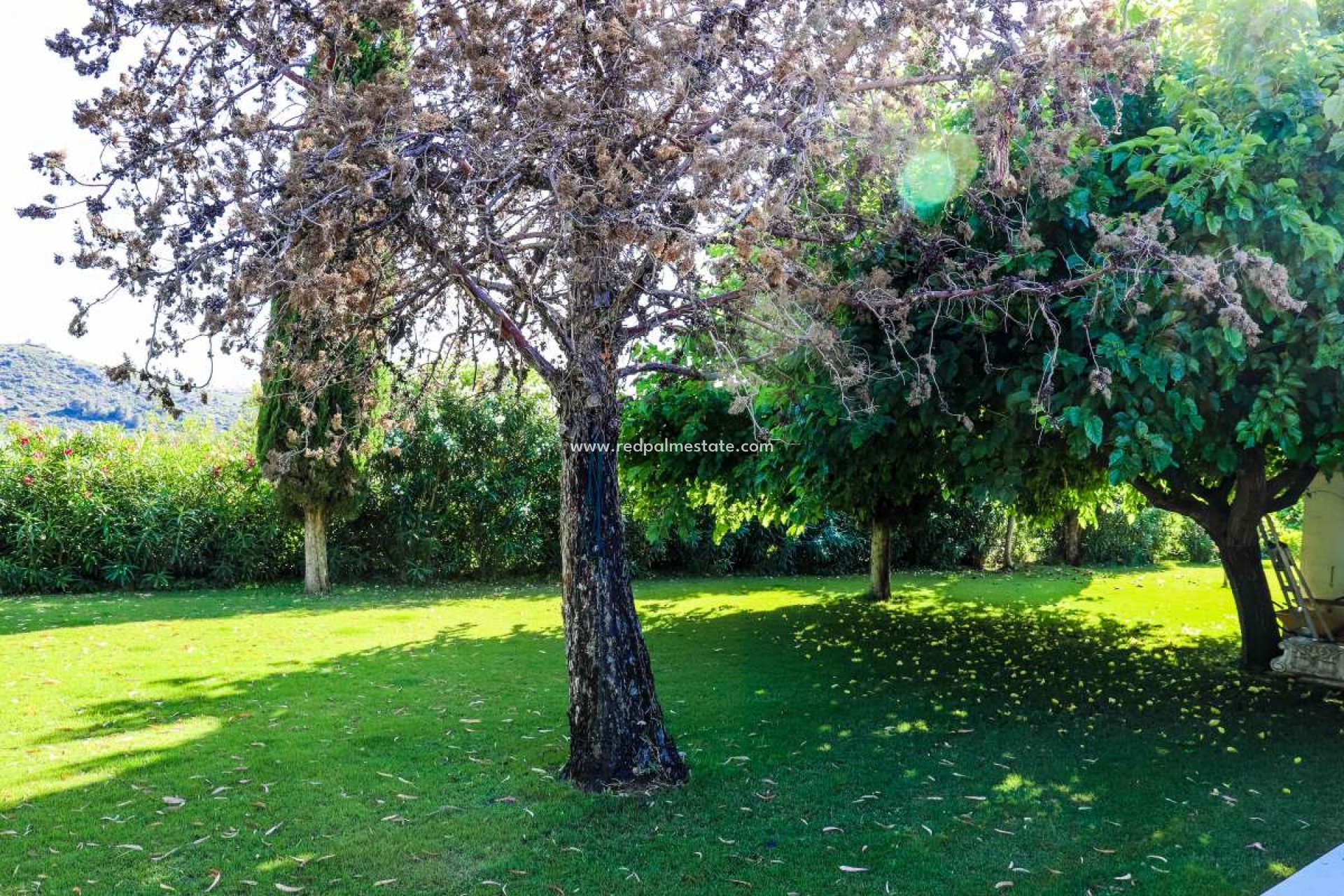 Reventa - Villa -
Jesus Pobre - Inland