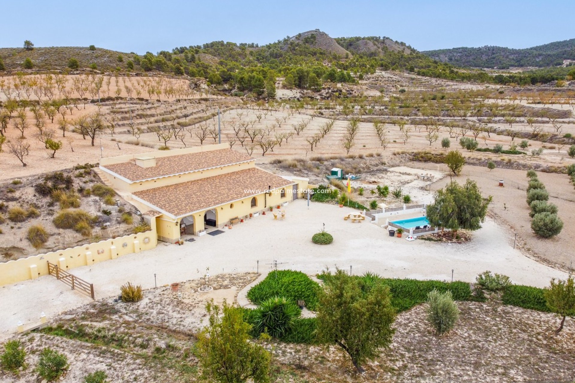 Reventa - Villa -
Jumilla