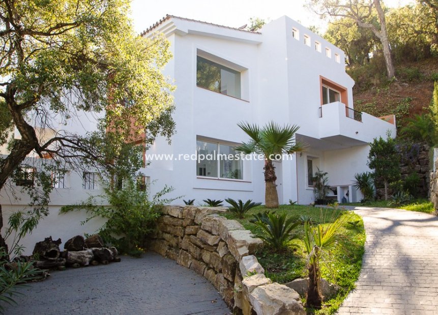 Reventa - Villa -
La Mairena