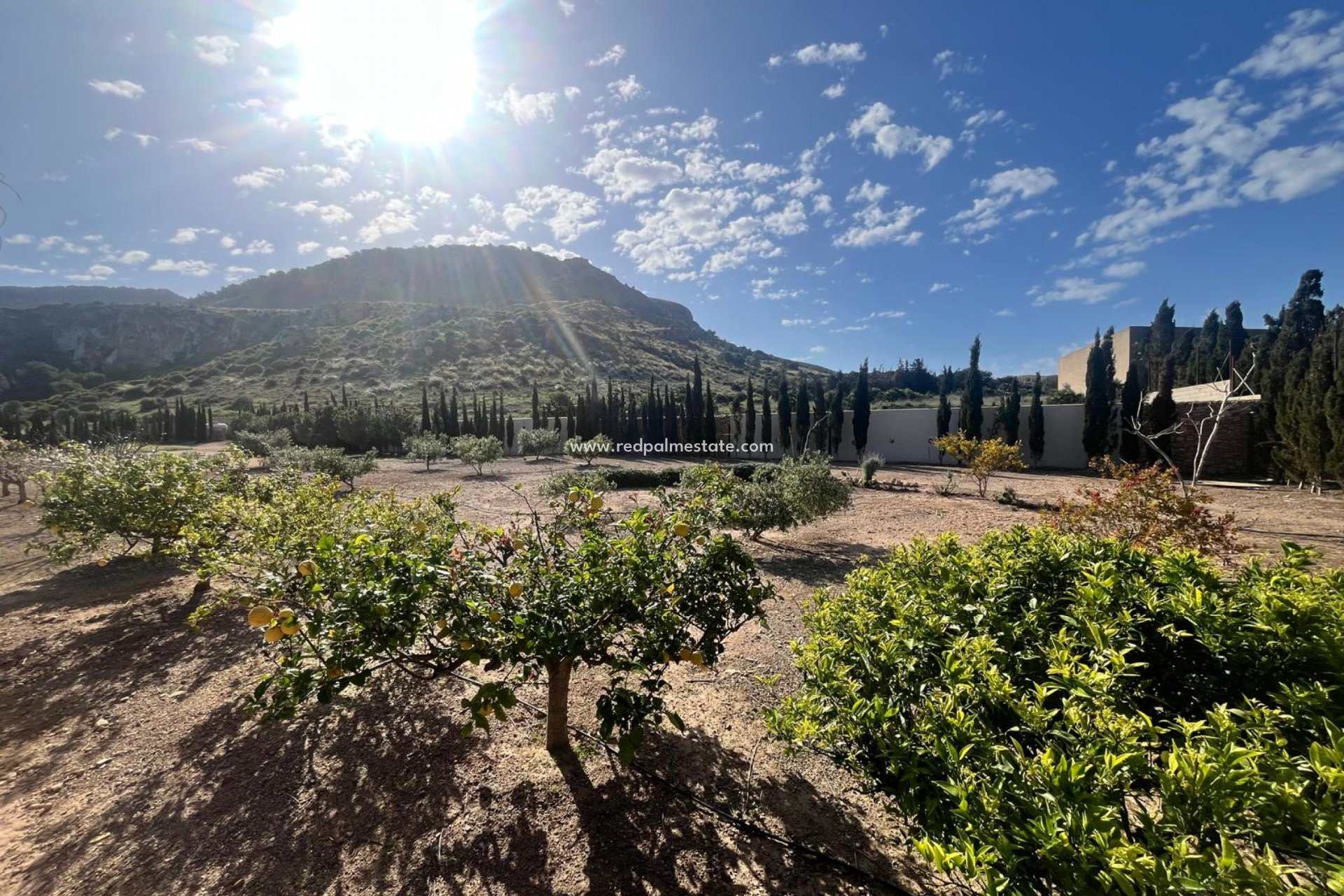 Reventa - Villa -
Los Belones - Inland