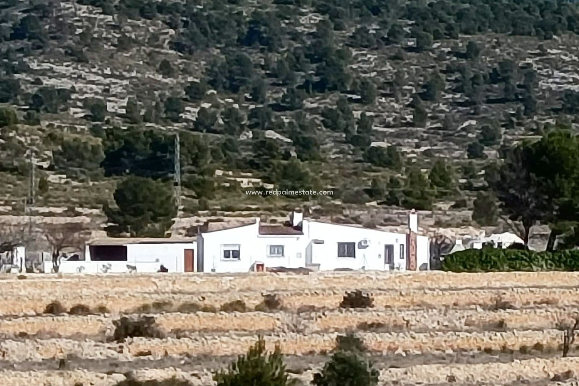 Reventa - Villa -
Monóvar/Monóver - Inland