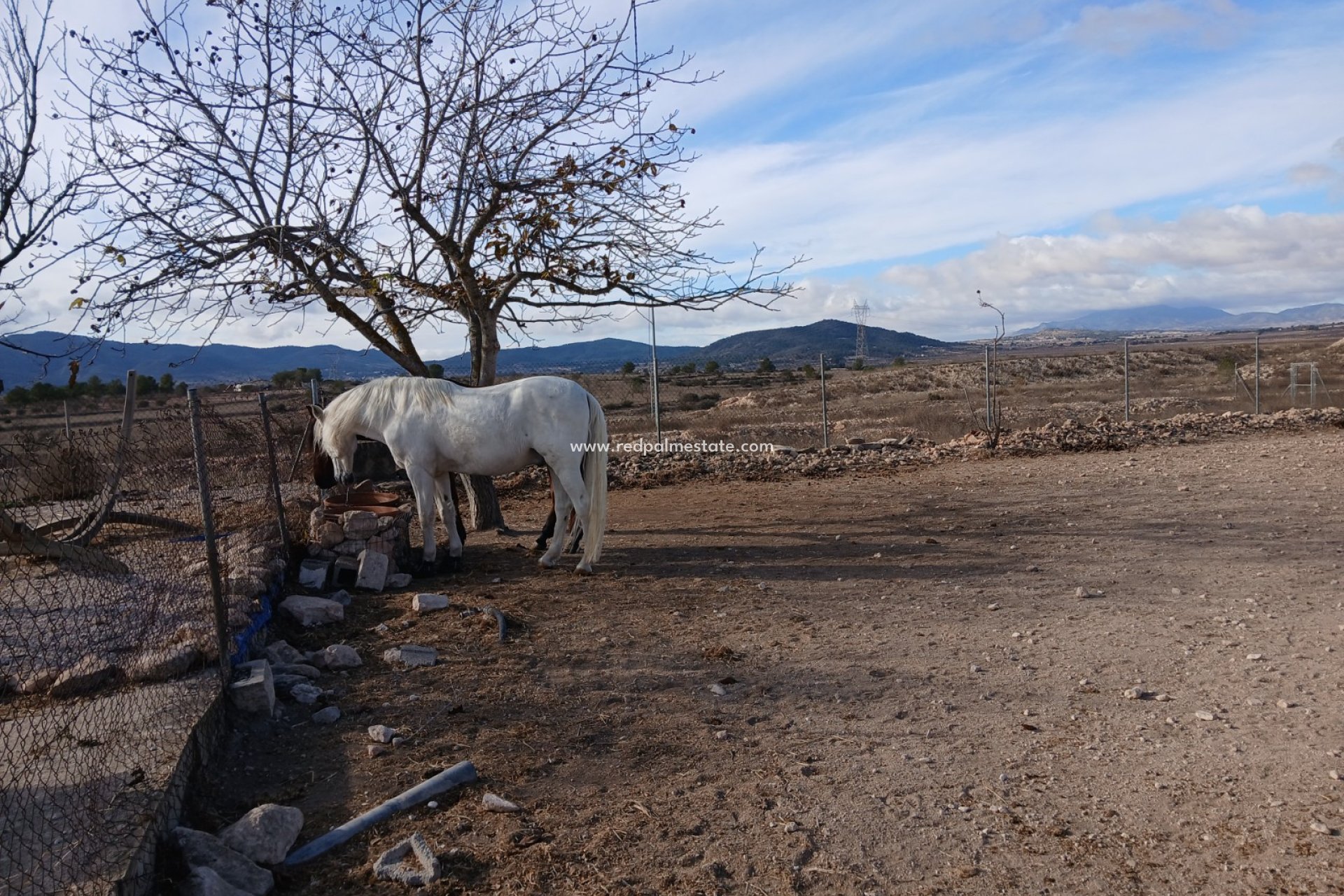 Reventa - Villa -
Monóvar/Monóver - Inland