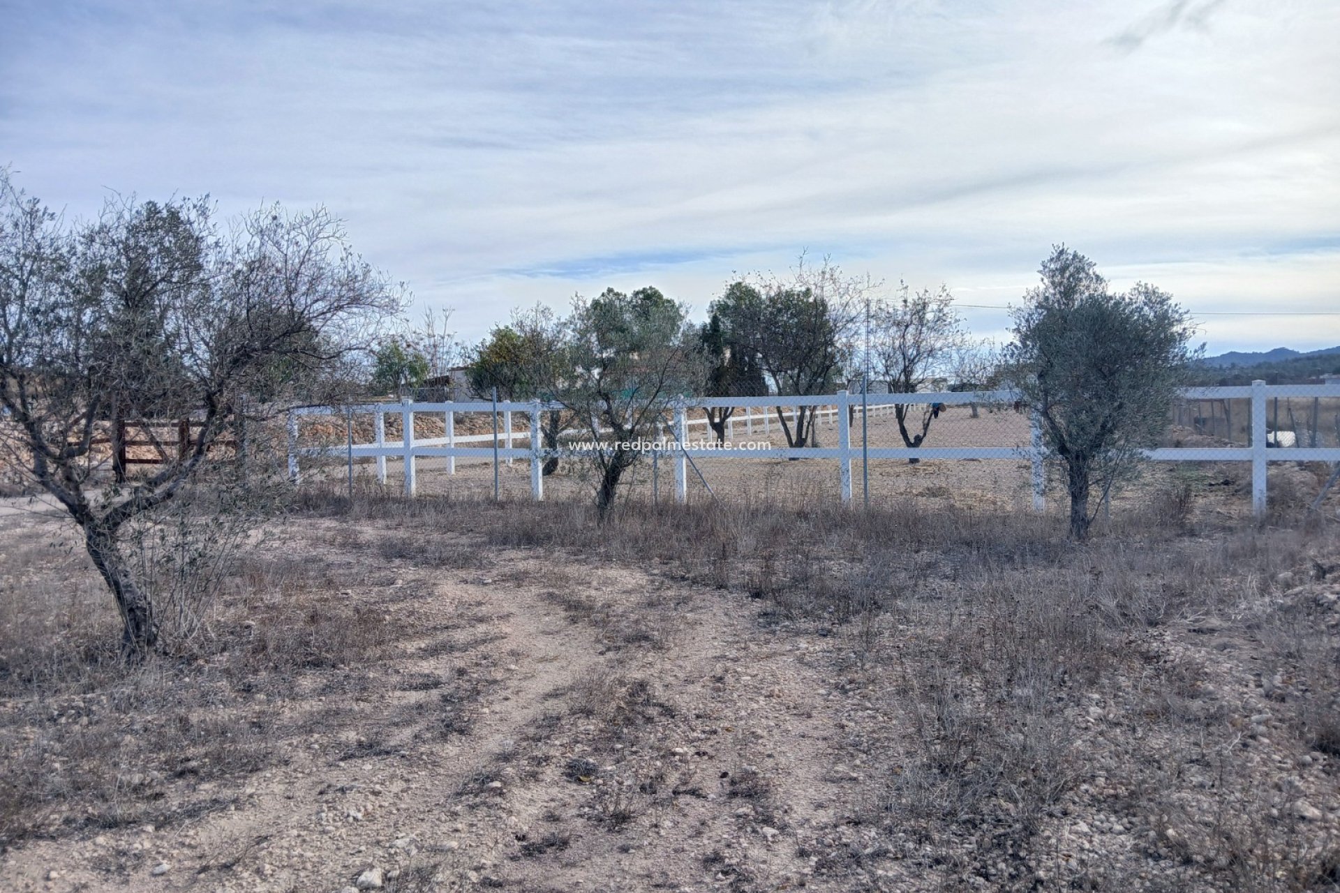 Reventa - Villa -
Monóvar/Monóver - Inland