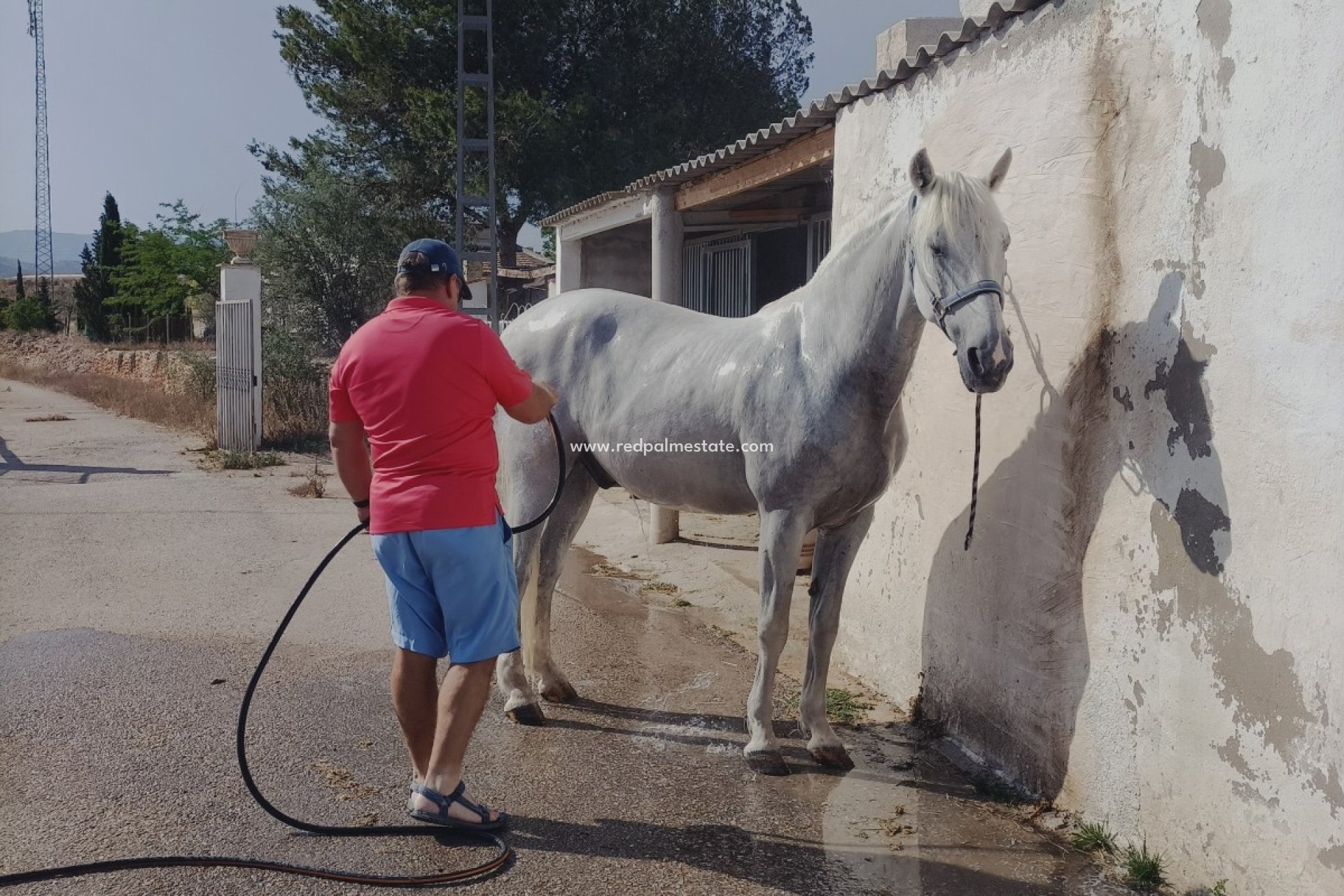 Reventa - Villa -
Monóvar/Monóver - Inland