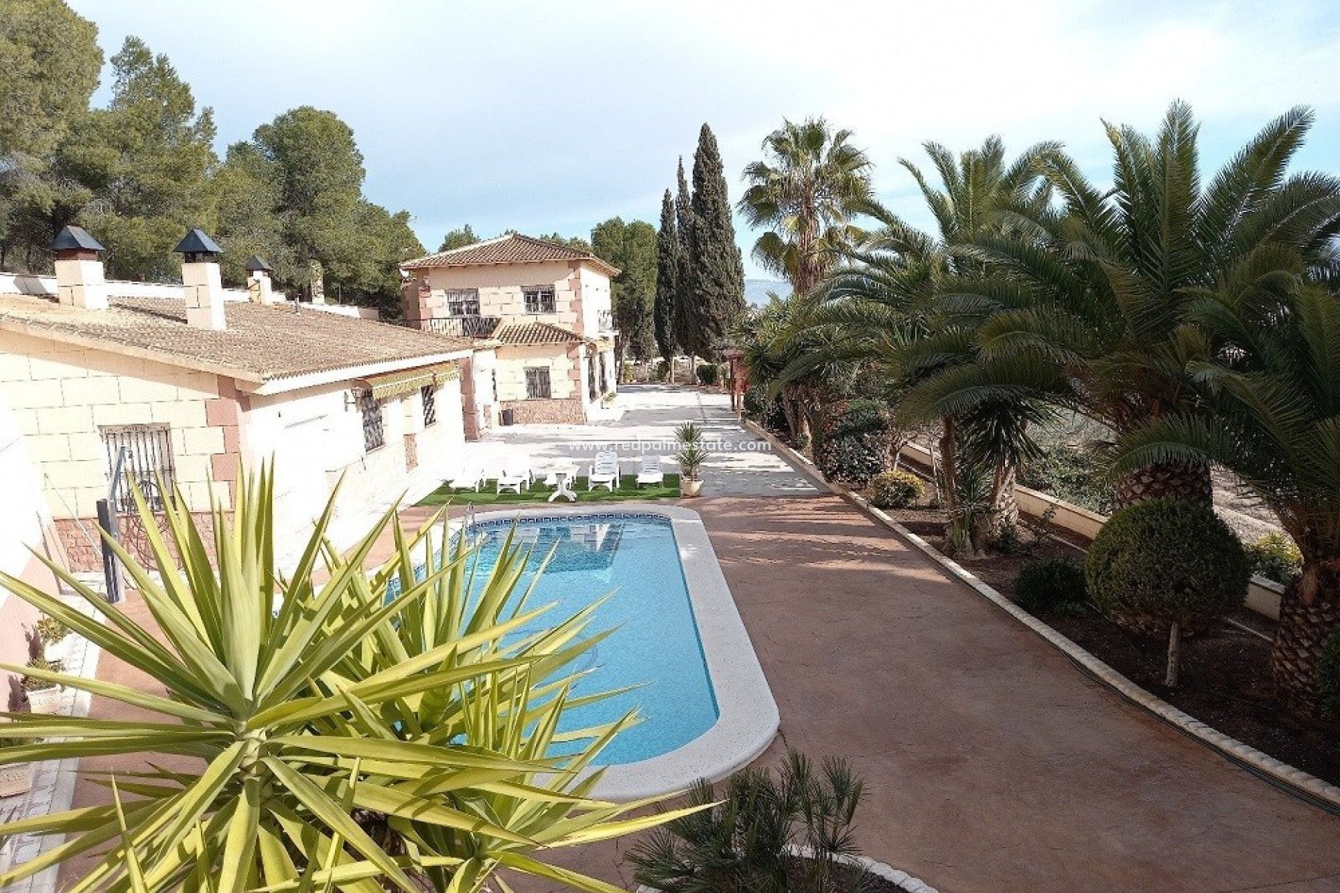 Reventa - Villa -
Monovar