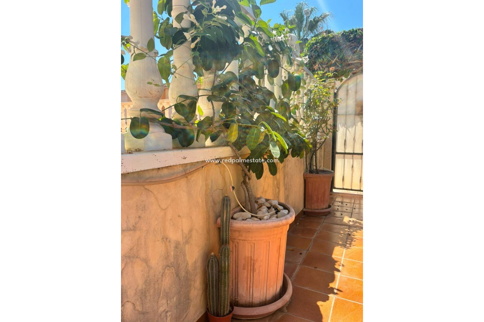 Reventa - Villa -
Orihuela Costa - Lomas de Cabo Roig