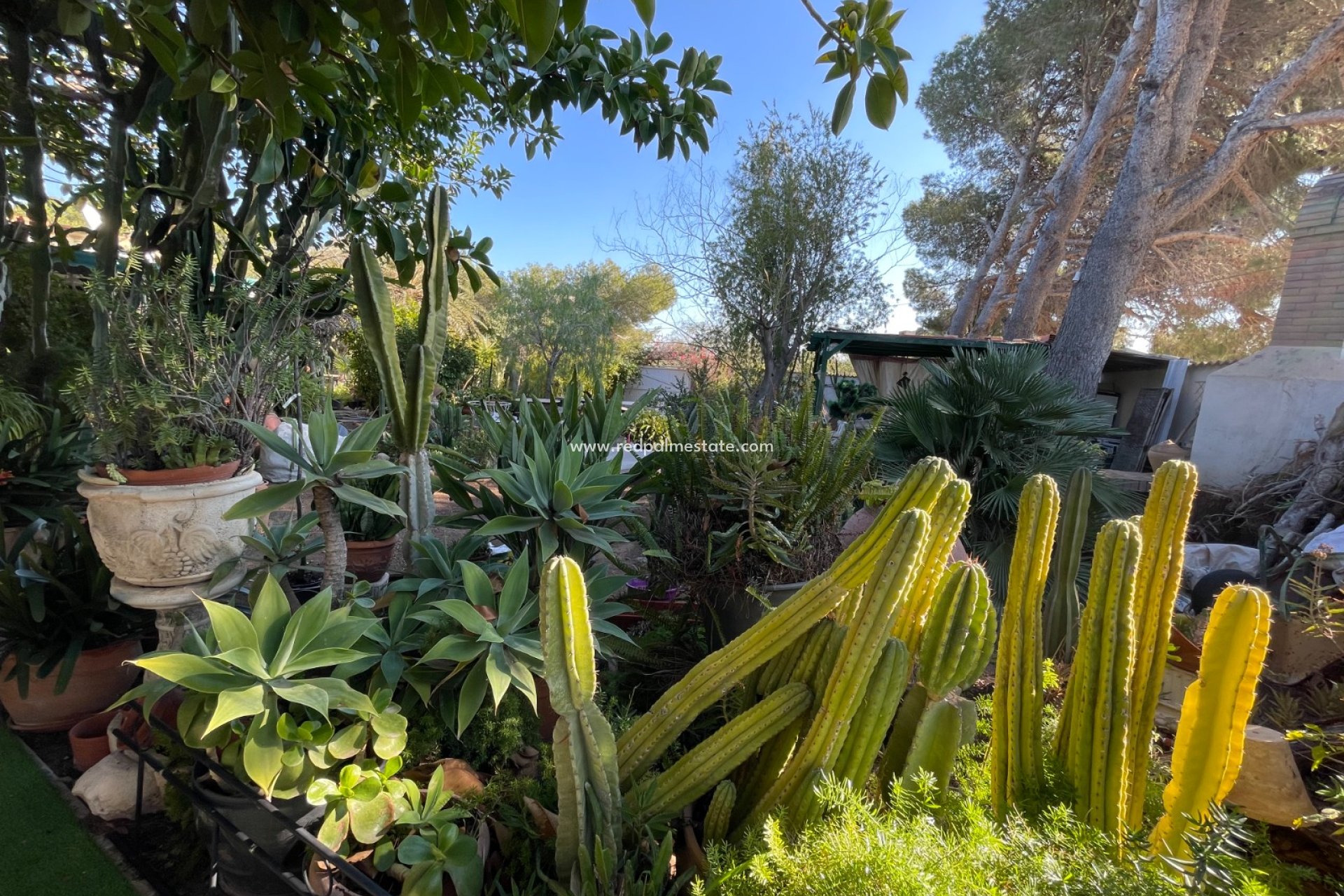 Reventa - Villa -
Orihuela Costa