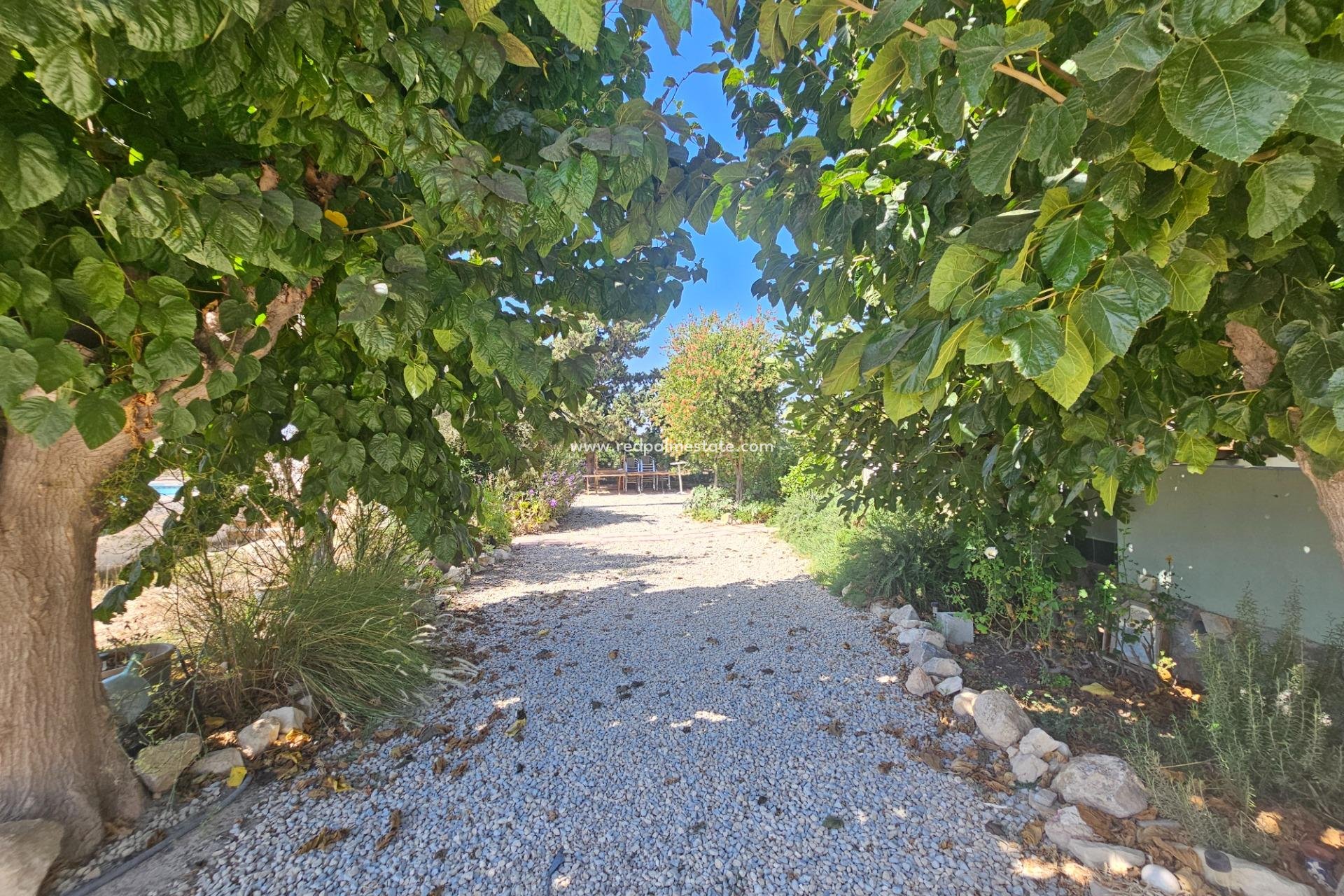 Reventa - Villa -
Orihuela - Molins-campaneta-san Bartolomé