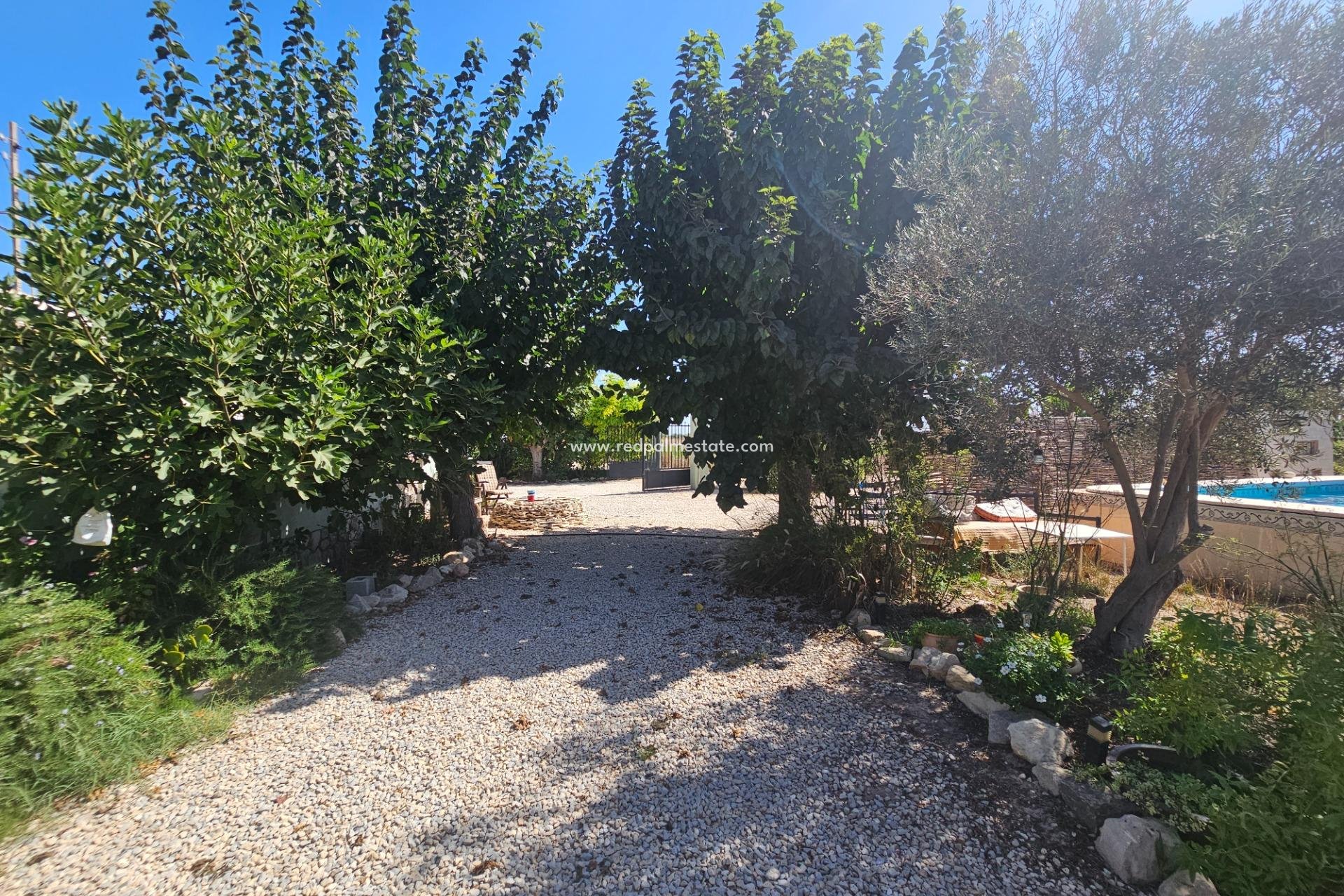Reventa - Villa -
Orihuela - Molins-campaneta-san Bartolomé