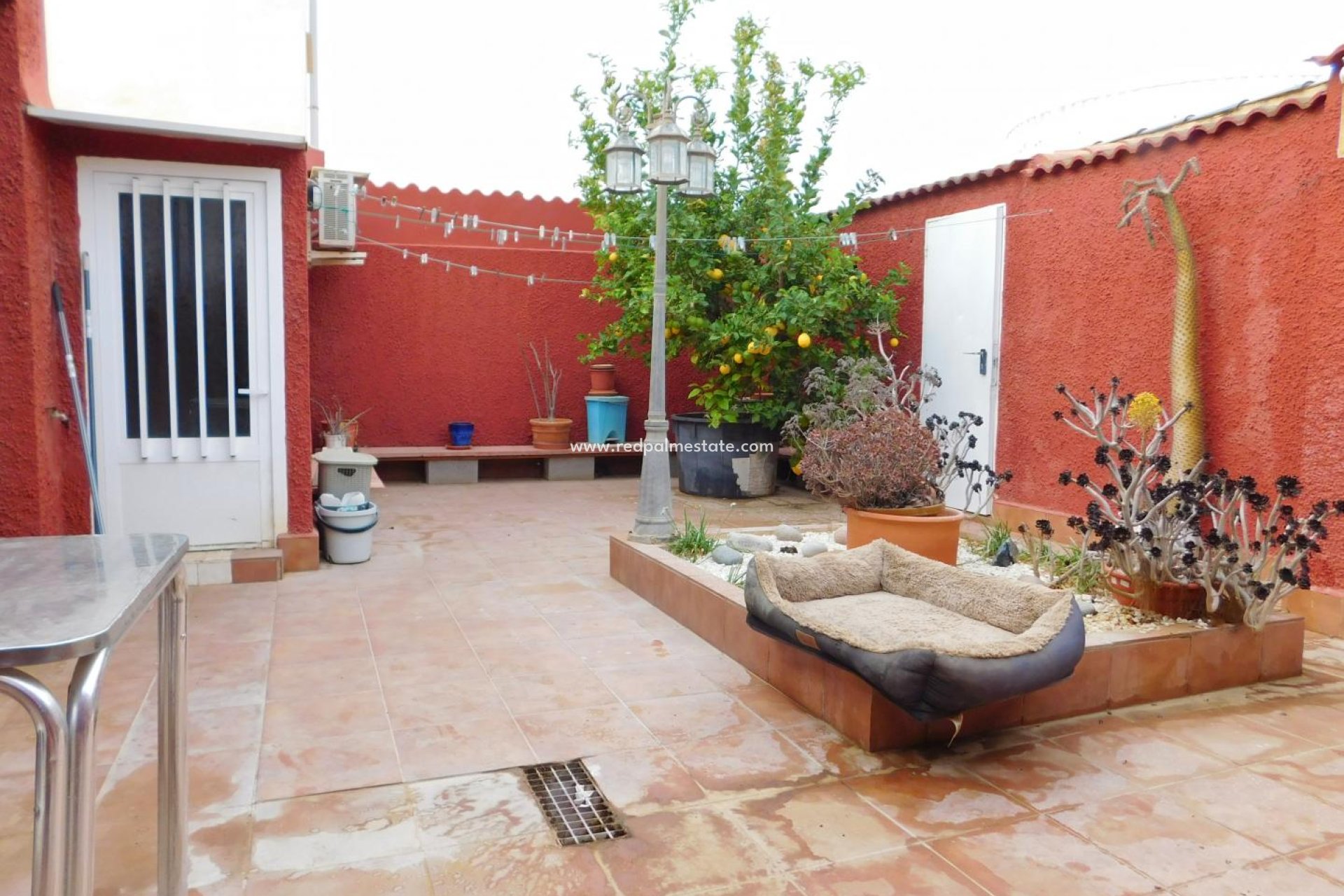 Reventa - Villa-pareada -
Torrevieja