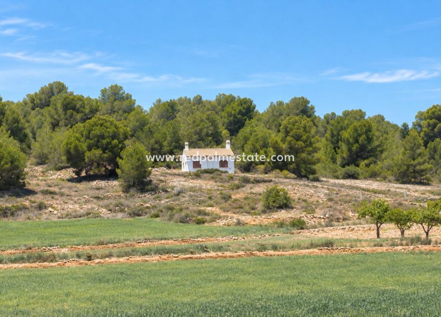 Reventa - Villa -
Pinoso - Inland