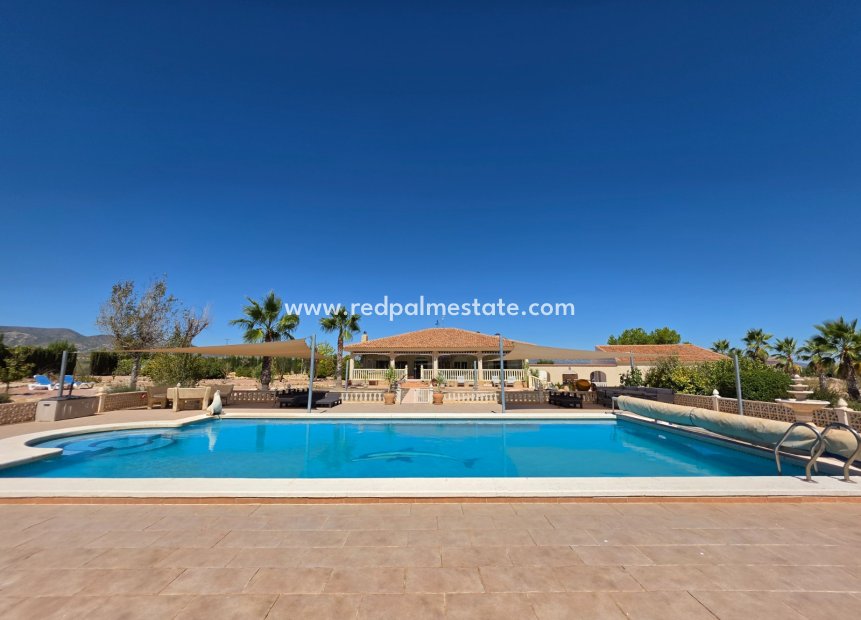 Reventa - Villa -
Pinoso - Inland